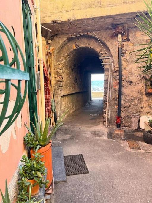 제노바 Casa Orri Quinto Mare E Gaslini 아파트 외부 사진